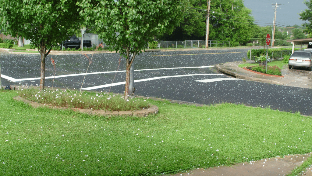 The Dangers of Ignoring Hail Damage