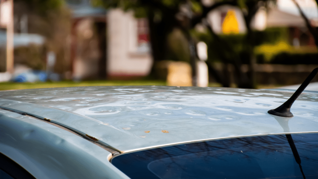 Car roof damaged by major hailstorm hailstones.